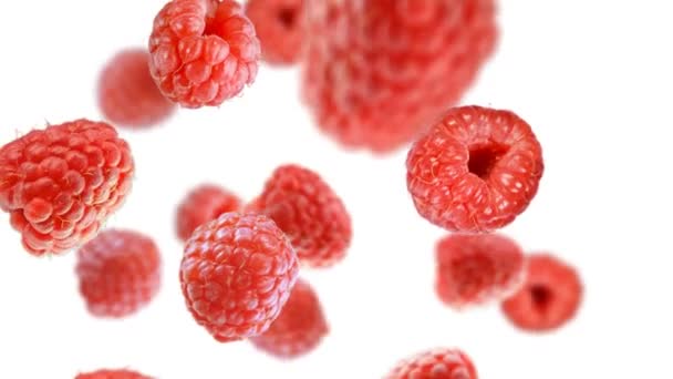 Falling raspberries in the studio — Stock Video