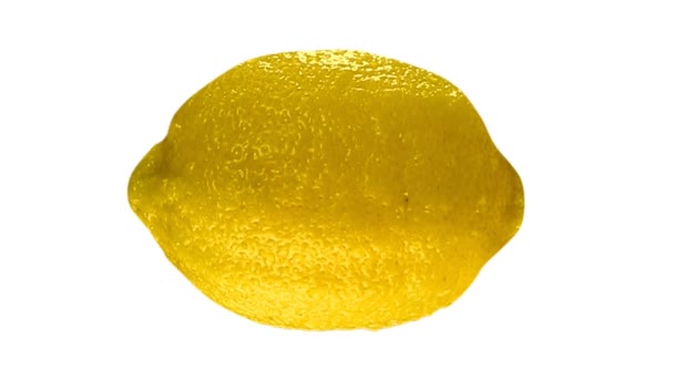 Wet lemon isolated on white. Lopable. — Stock Video