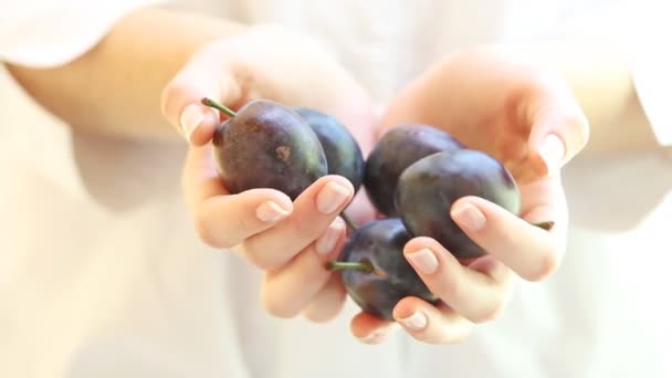 Ameixas frescas nas mãos de uma mulher — Vídeo de Stock