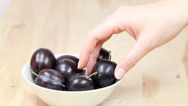 Fresh plum in a woman's hand — Stock Video