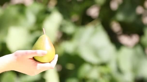 Φρέσκο αχλάδι στο χέρι της γυναίκας — Αρχείο Βίντεο