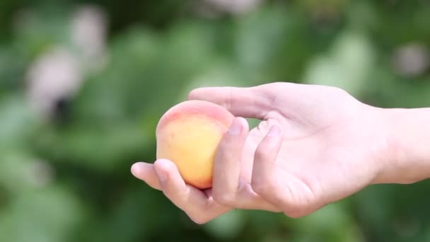 Mann schenkt einer Frau einen Pfirsich — Stockvideo
