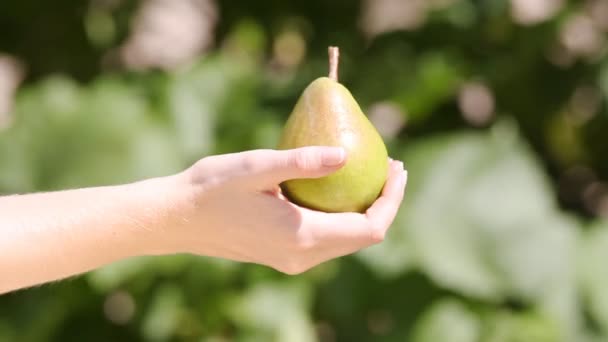 Peral fresca en la mano de una mujer — Vídeos de Stock