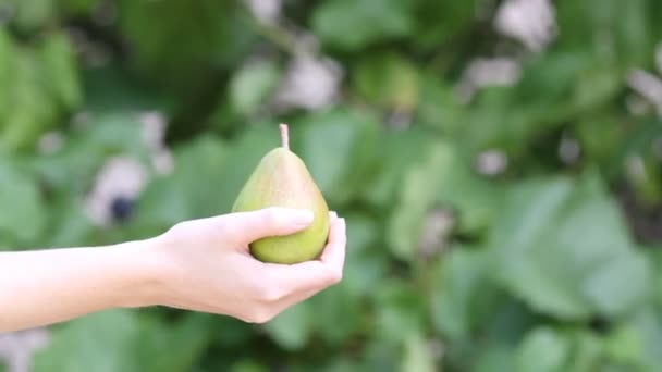 Man handen een peer en een apple naar een vrouw — Stockvideo