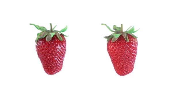 Deux fraises isolées sur blanc — Video