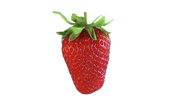 Färska jordgubbar isolerade på vitt — Stockvideo