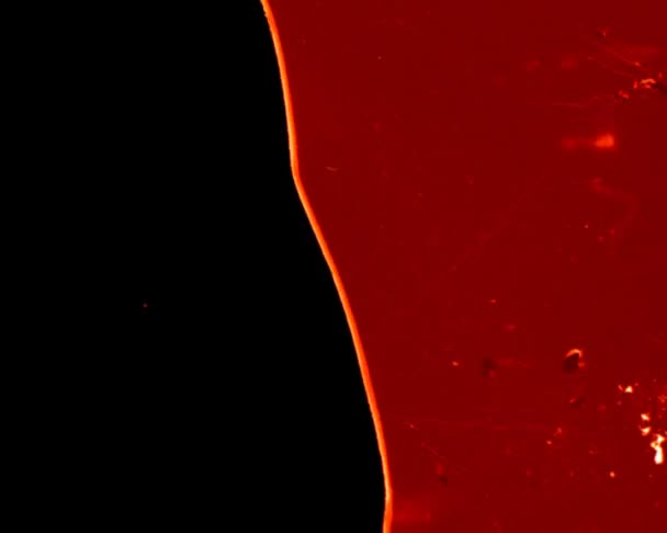 Chef de film. 32 mm .