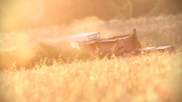 Harvest machines — Stock Video