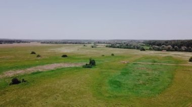 Hava sineması klibi: Sıcak bir yaz gününde bir dron tarlanın üzerinde uçar. Bir dron yeşil bir ormanın üzerinde uçar. Güzel bir yaz manzarası. Yukarıdan boş bir alanın görünümü.