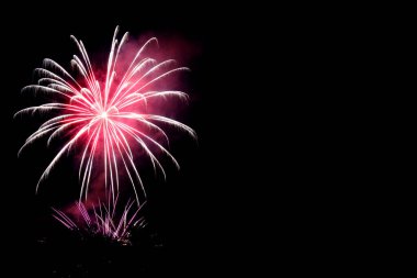Gece gökyüzünde renkli havai fişek kutlaması. Yazmak için boş yeri var.