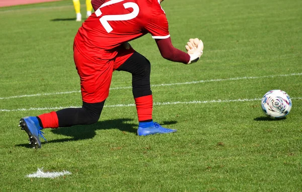 Goolkeeper Action Soccer Field — Stock Photo, Image