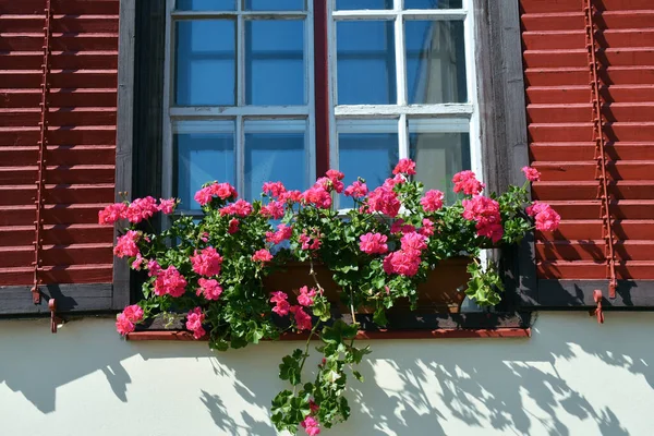 Pink Flowers Window House — 图库照片