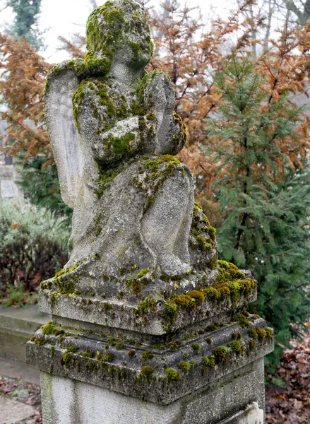 Ängelstaty Den Offentliga Kyrkogården — Stockfoto
