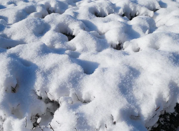 Freshly Fallen Snow Ground — Stock Photo, Image