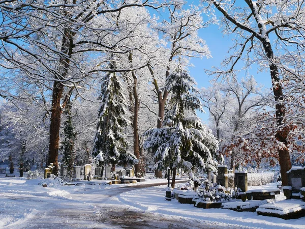 Zima Veřejném Hřbitově — Stock fotografie