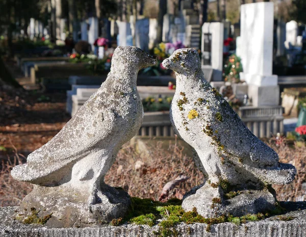 Pedras Tumulares Cemitério Público — Fotografia de Stock