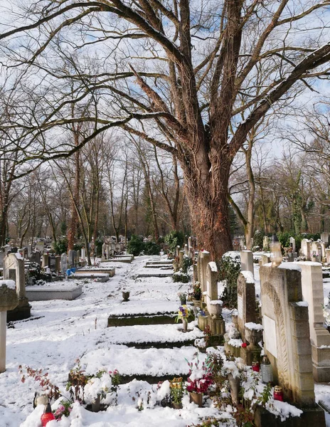 Winter Public Cemetery — Stock Photo, Image