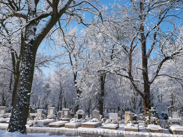 Winter Public Cemetery — Stock Photo, Image