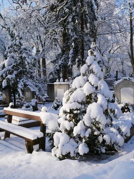 Zima Veřejném Hřbitově — Stock fotografie