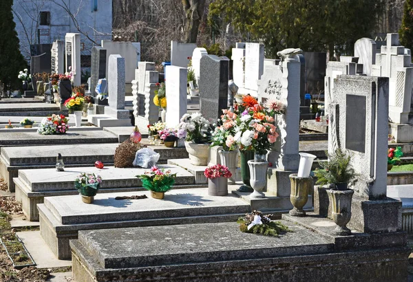 Grabsteine Auf Dem Öffentlichen Friedhof — Stockfoto