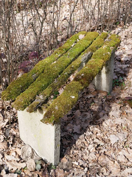Ancien Banc Ruine Dans Les Bois Recouvert Mousse — Photo