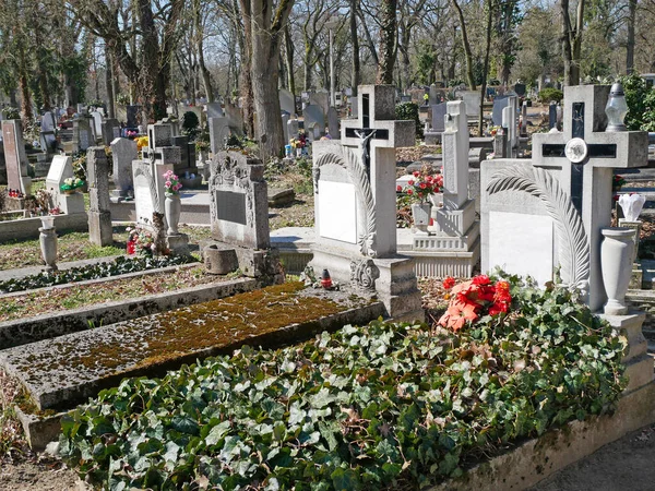 Grabsteine Auf Dem Öffentlichen Friedhof — Stockfoto