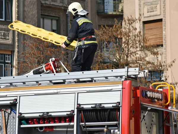 Firefighter at work in the city street