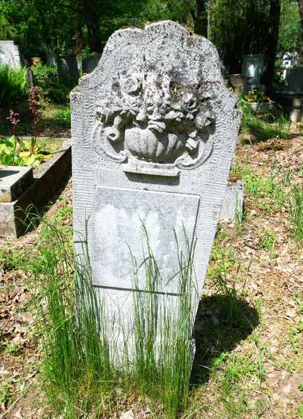 在公共墓地的墓碑 — 图库照片