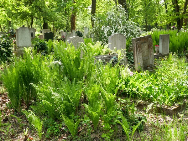 Tumbas Cementerio Público —  Fotos de Stock