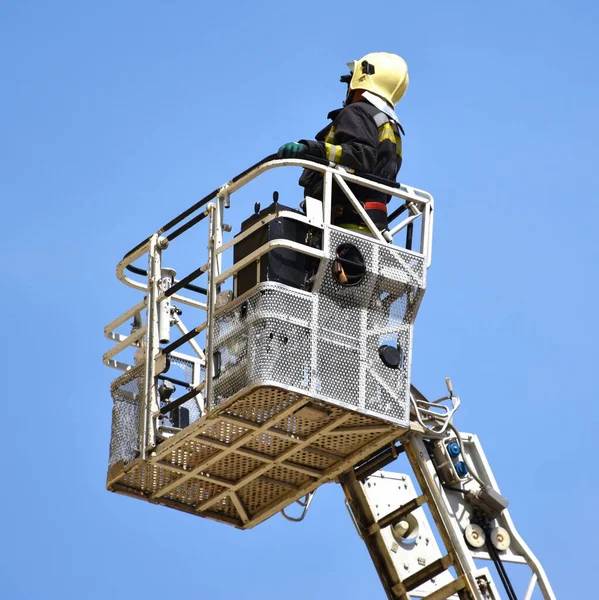 Bombero Canasta Una Escalera —  Fotos de Stock