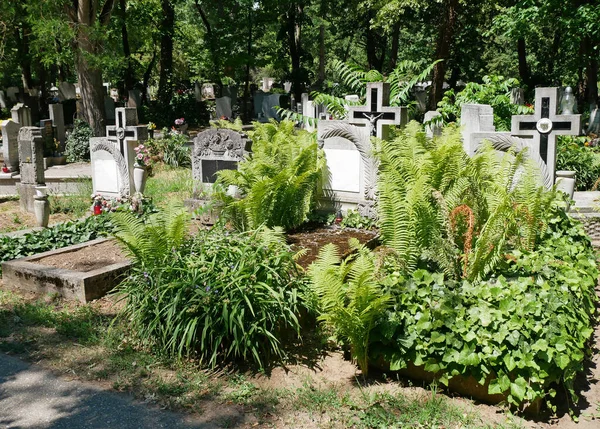 Επιτύμβιες Στήλες Στο Δημόσιο Νεκροταφείο — Φωτογραφία Αρχείου