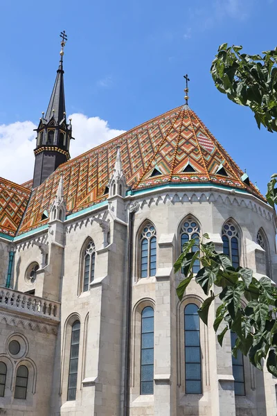 Chiesa Matthias Nella Città Budapest Ungheria — Foto Stock