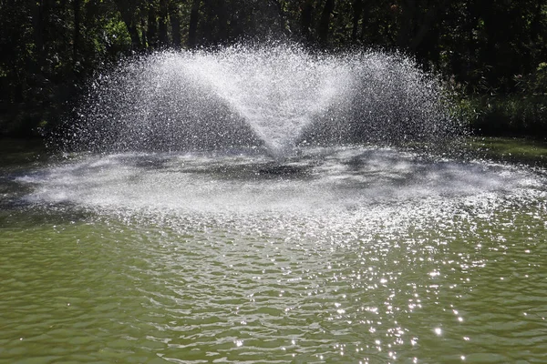 Fountain Middle Lake — Stock Photo, Image