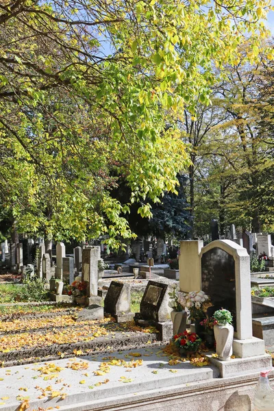 Náhrobky Veřejném Hřbitově Podzim — Stock fotografie