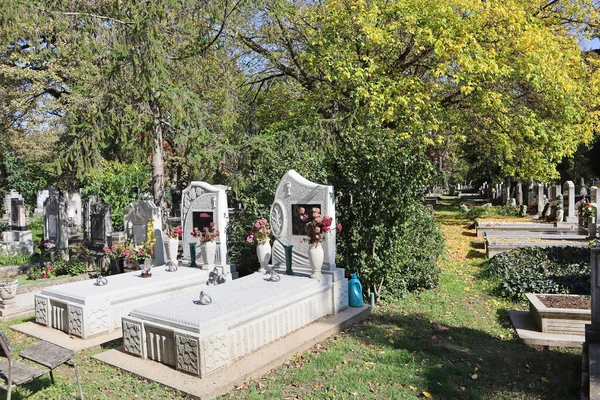 Tombstones Public Cemetery Autumn Time — Stock Photo, Image