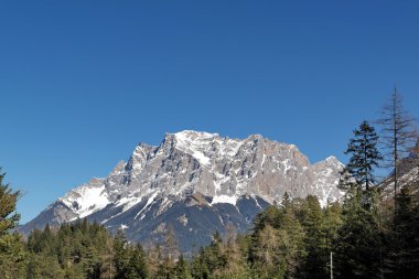 Avusturya