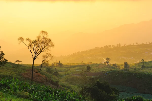 Sunrise from view point of Phutabberk — Stock Photo, Image