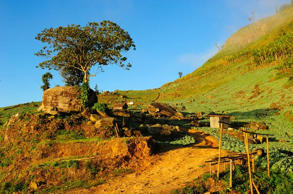 Landscape of phutabberk — Stock Photo, Image