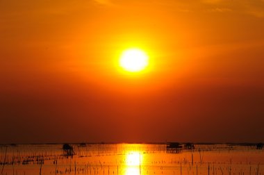 bangsai evinde balıkçı