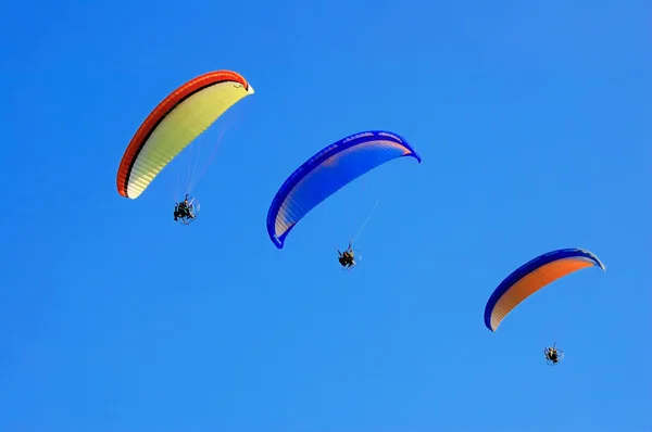 Tre paramotor fly — Stockfoto