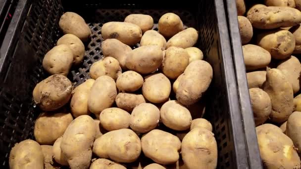 Patatas Frescas Exhibición Mercado Local — Vídeo de stock