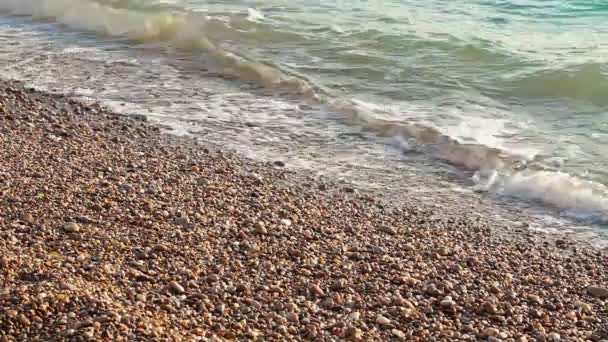 Onde rotolano su una spiaggia di ciottoli — Video Stock