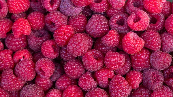 Segar berri latar belakang jucy raspberry di pasar — Stok Foto