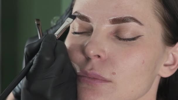 Procedimiento de pintura de cejas, corrección, coloración y laminación en un salón de belleza, tratamiento de cuidado de cejas — Vídeo de stock