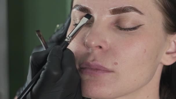 Procedimiento de pintura de cejas, corrección, coloración y laminación en un salón de belleza, tratamiento de cuidado de cejas — Vídeos de Stock