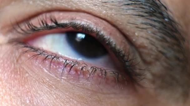 Macro dark brown eye opening and blinking in slow motion. man is opening and closing eye with long lashes close up — Stock Video