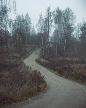 Dramatik, gizemli bir manzarada sisli, boş bir yol. huş ağaçları, köyde renksiz depresif bir manzara.