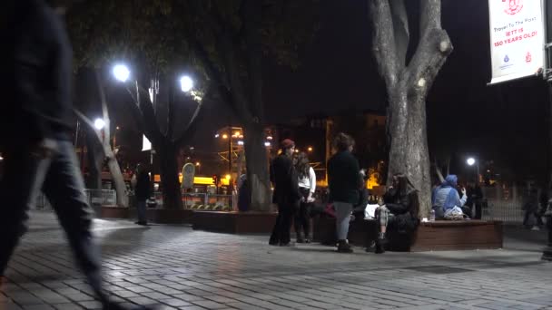 Night Istanbul Sultanahmet Square Lidé Chodí Odpočívat Lavičce Turecko Istanbul — Stock video
