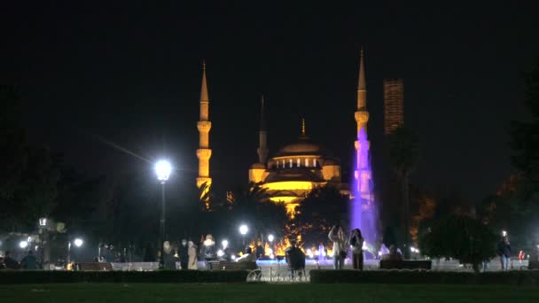 Стамбульская Ночь Голубая Мечеть Султан Ахмад Майдан Фонтан Турция Сентябрь — стоковое видео