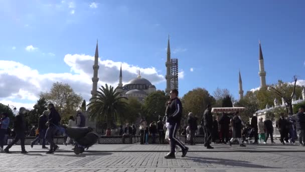 Błękitny Meczet Stambule Placu Sultanahmet Ludzie Odpoczywają Ławce Turcja Stambuł — Wideo stockowe